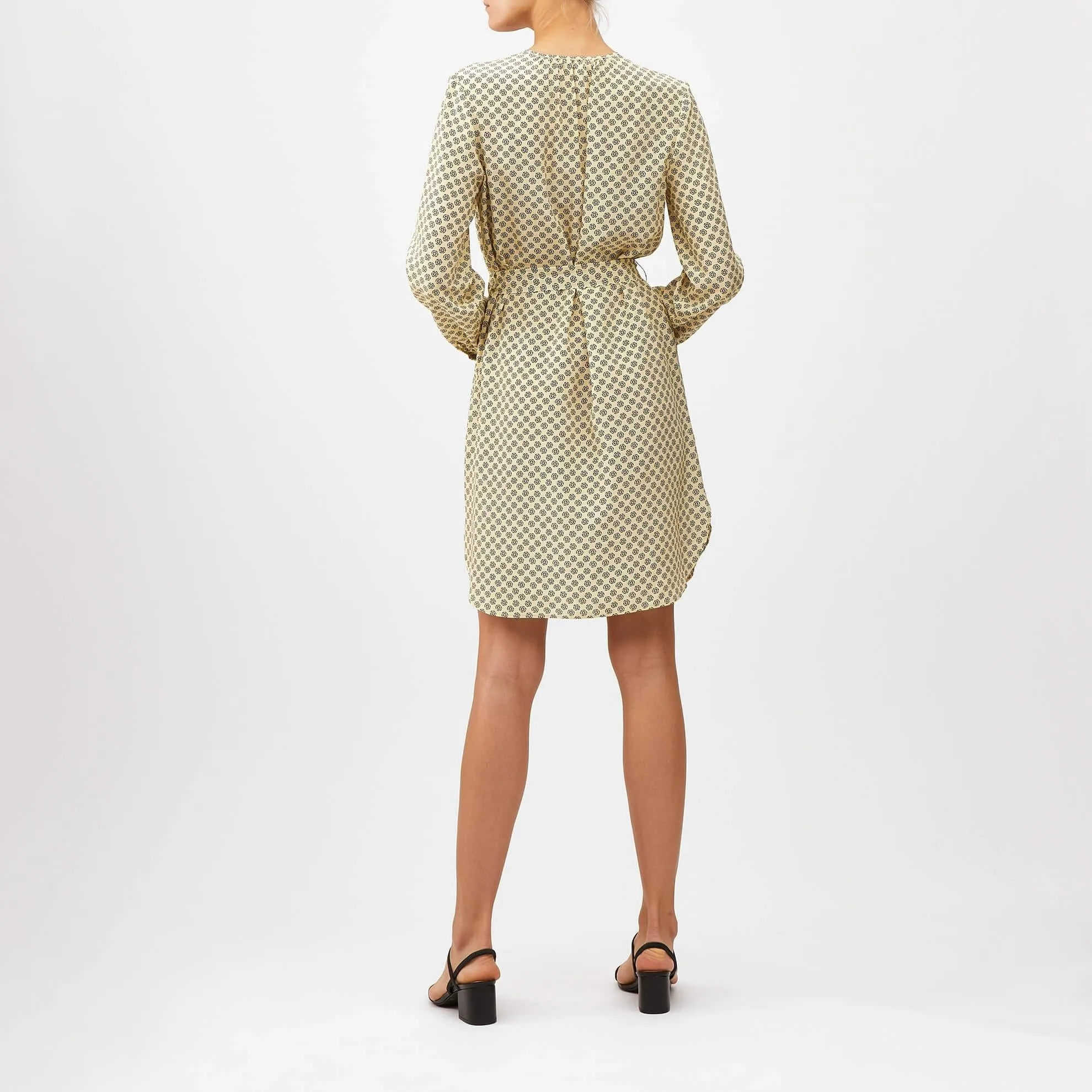 Silk Champagne Dress