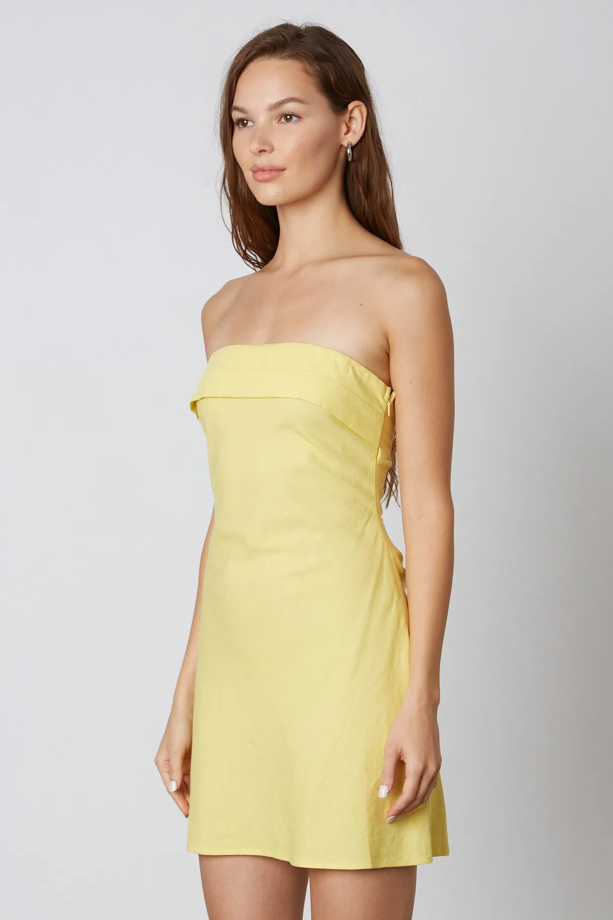 Strapless Linen Mini Dress